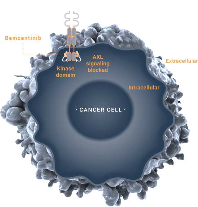 cancer cell